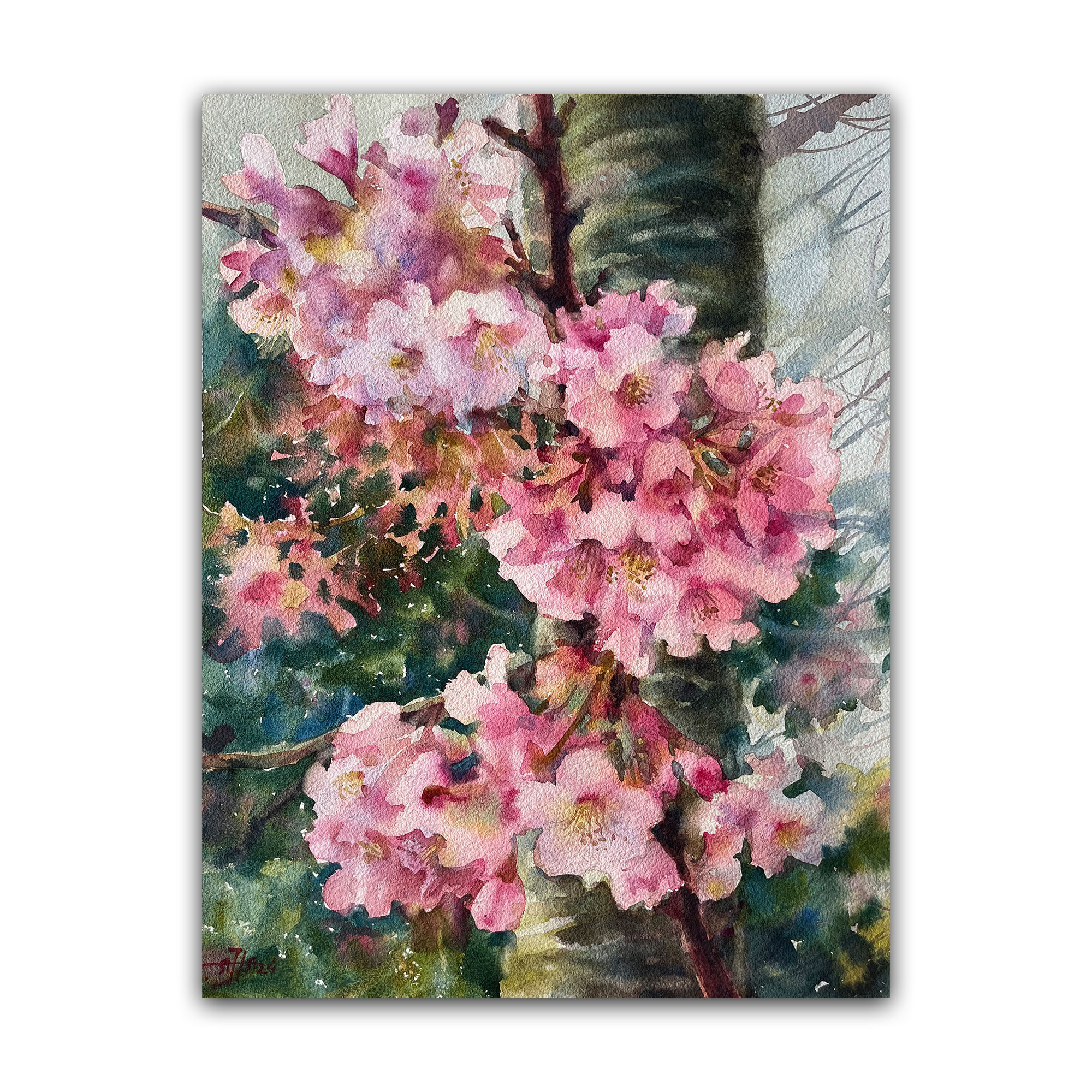 Картина "Саккура"