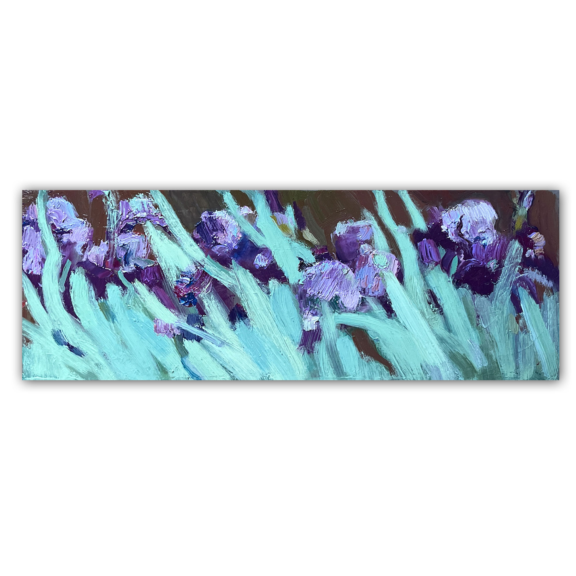 Ирисы голубые