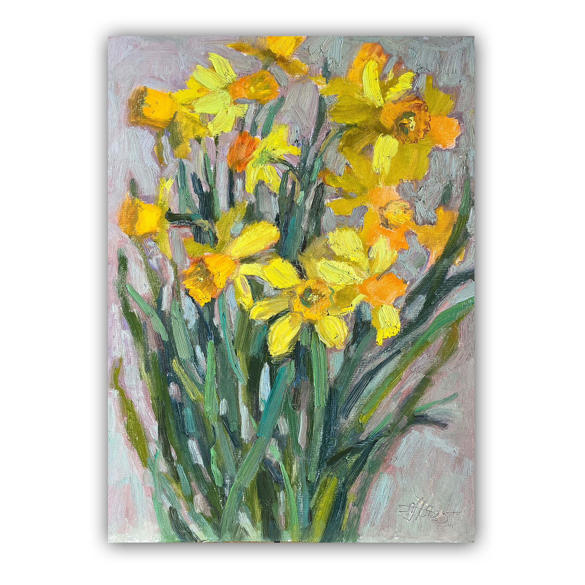 Нарциссы Огненная ракета