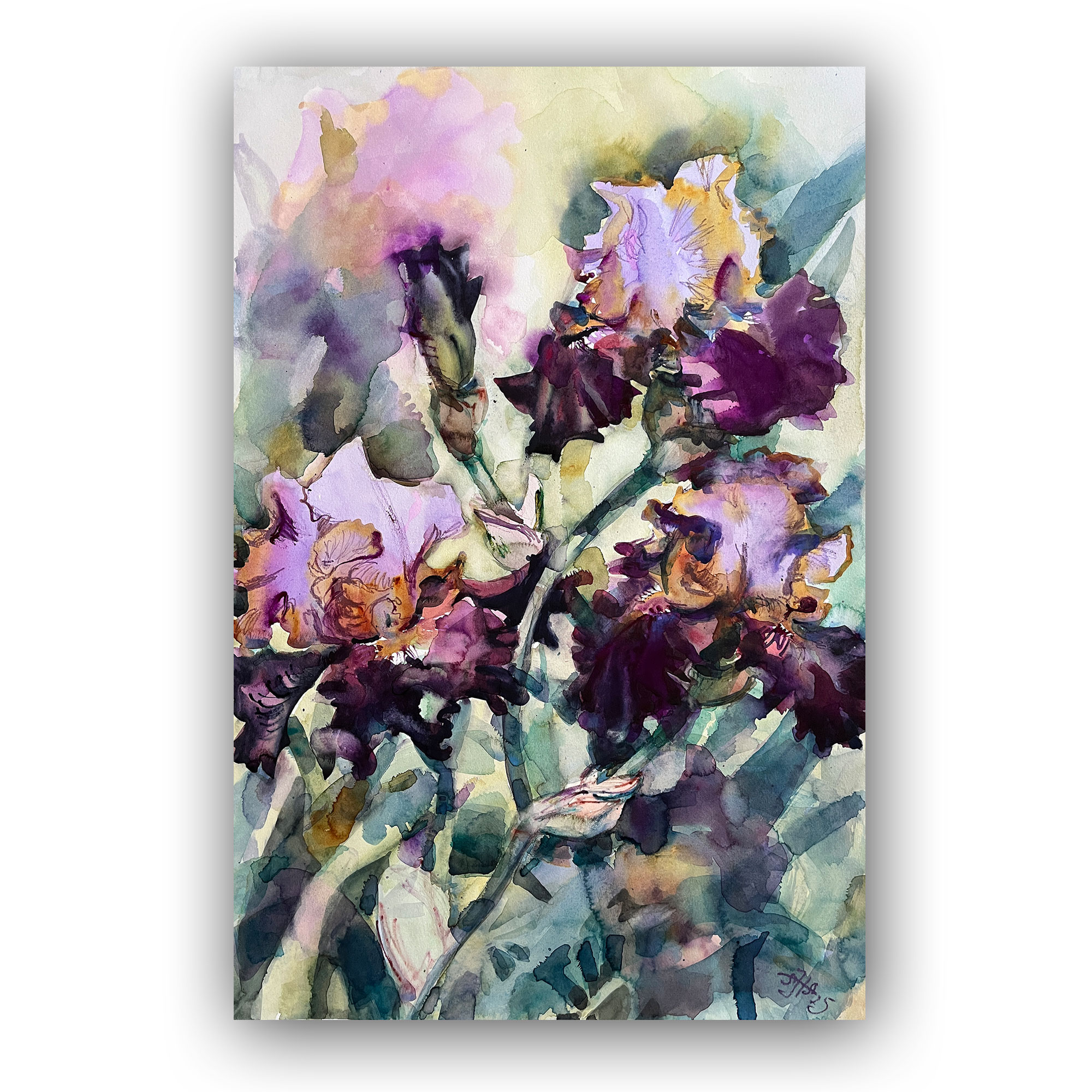 Картина "Ирисы большие"