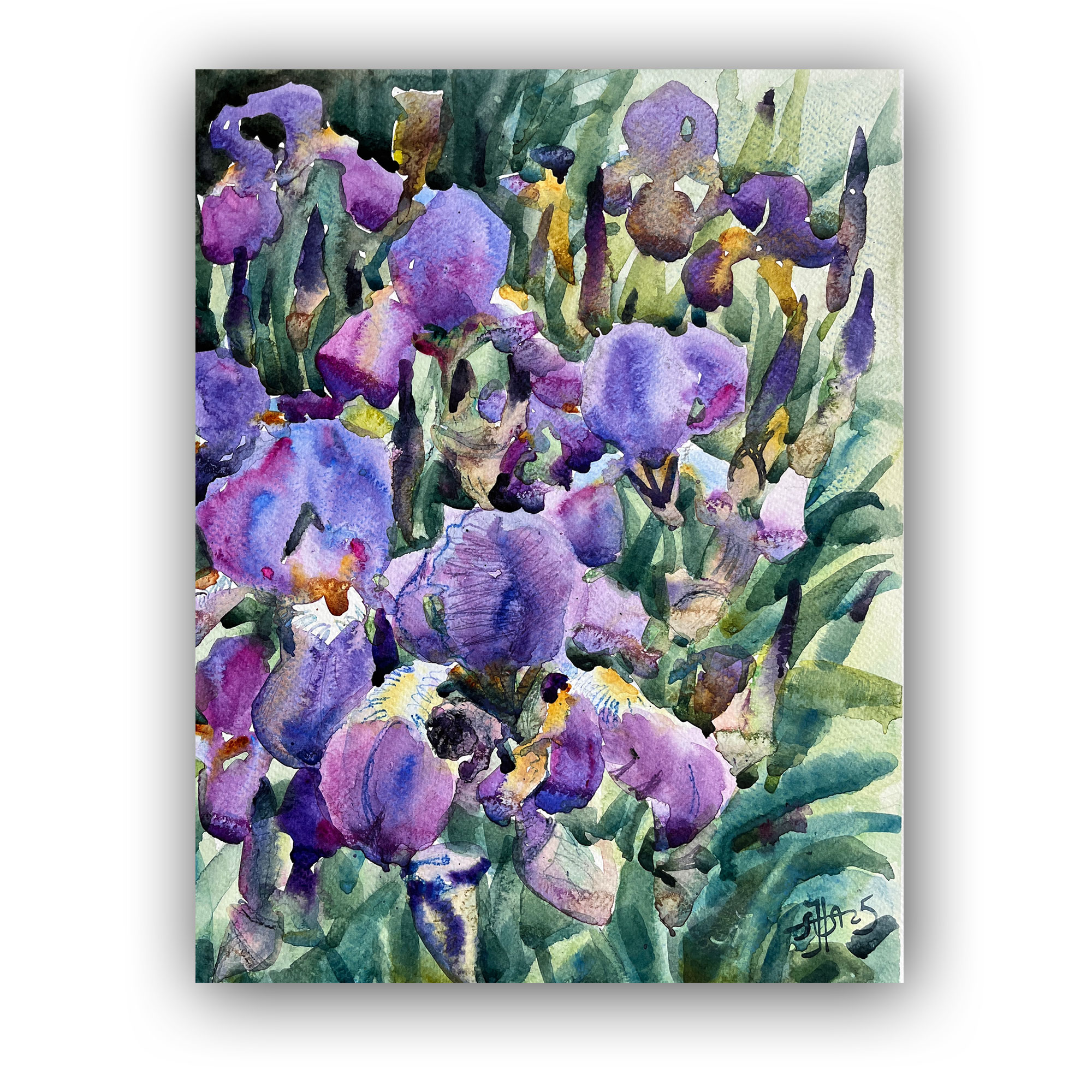 Картина "Фиолетовые ирисы в саду"