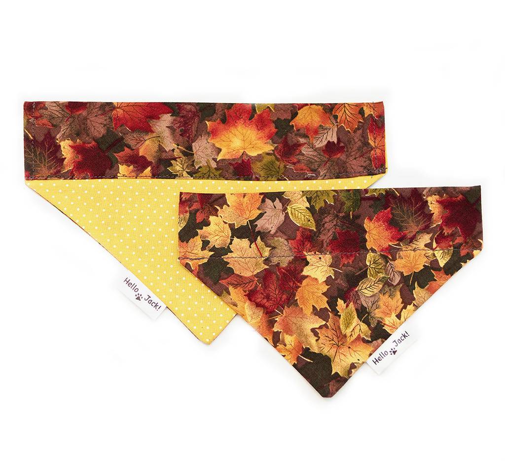 Бандана на ошейник  "Листопад"