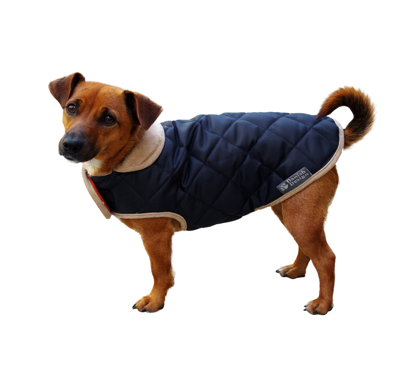 Пальто для собак QUILTED blue