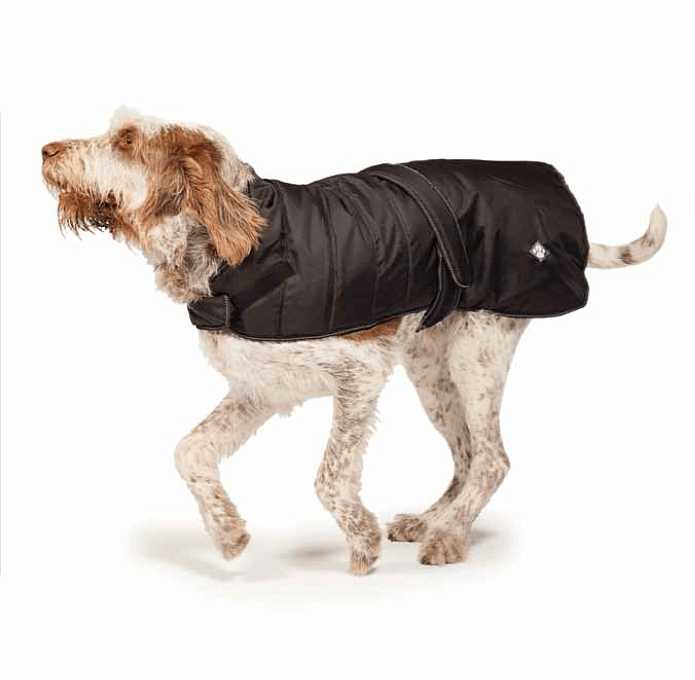 Пальто для собак HARNESS