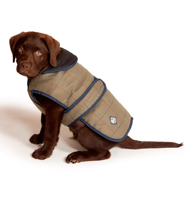 Пальто для собак TWEED