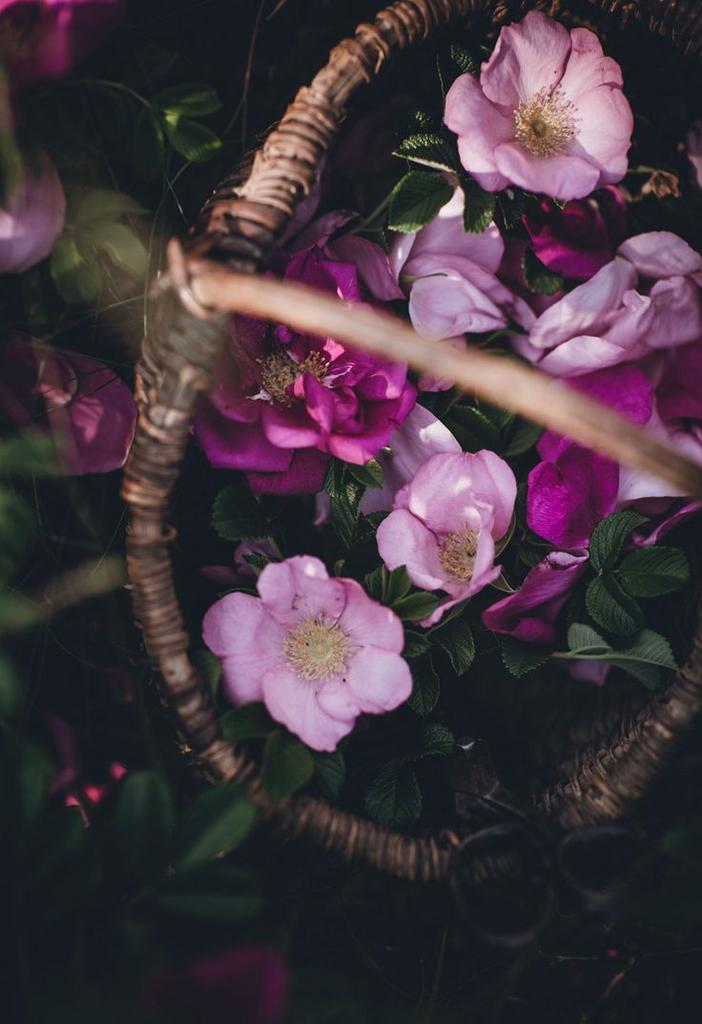 Гидролат Дикой Розы собственное производство