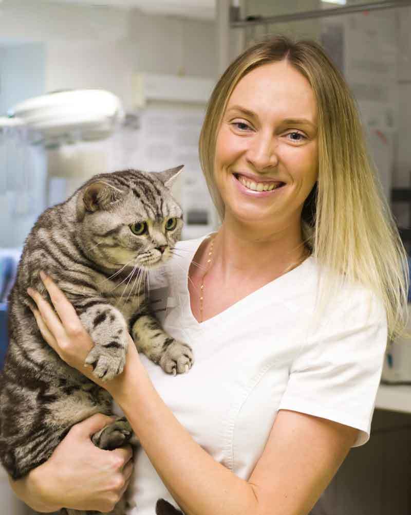 Седошкина Кристина Александровна, ветеринарный врач