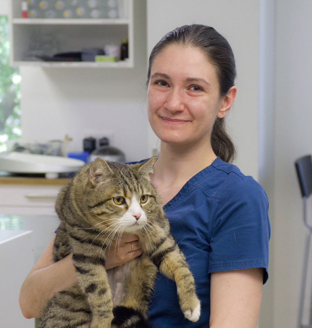 Дронова Анна Игоревна, ветеринарный врач