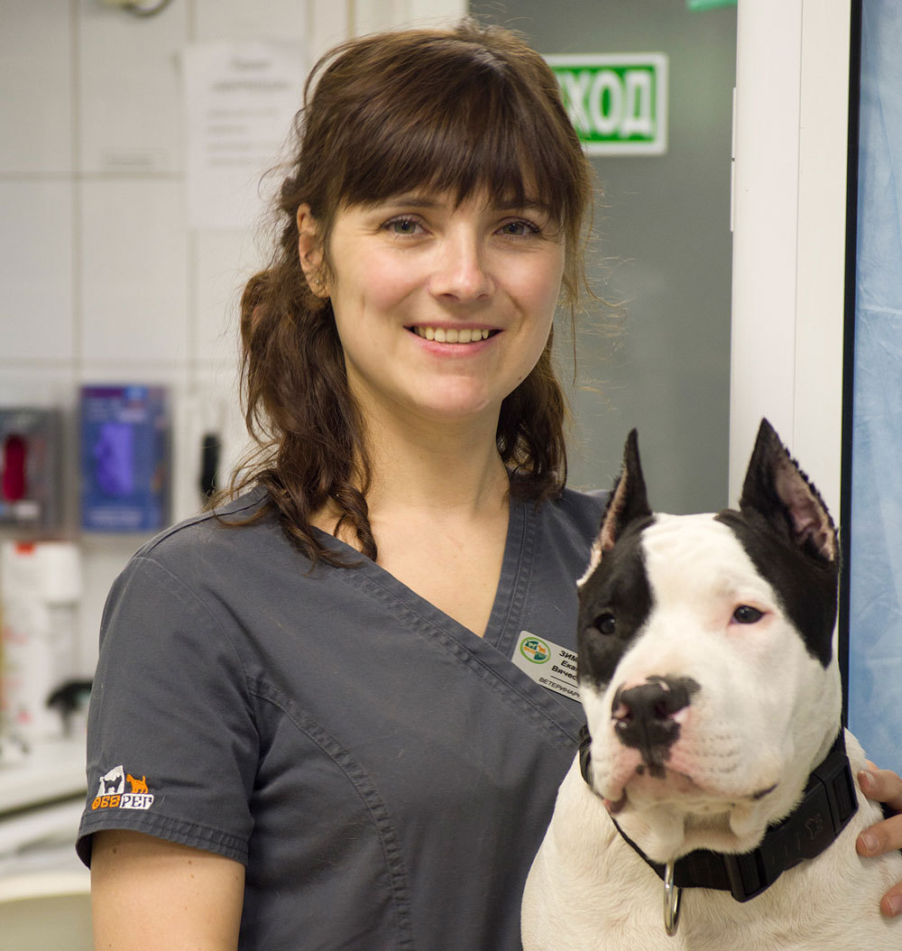 Зимовцева Екатерина Вячеславовна, ветеринарный врач, кардиолог, главный врач Оберег-Гольяново