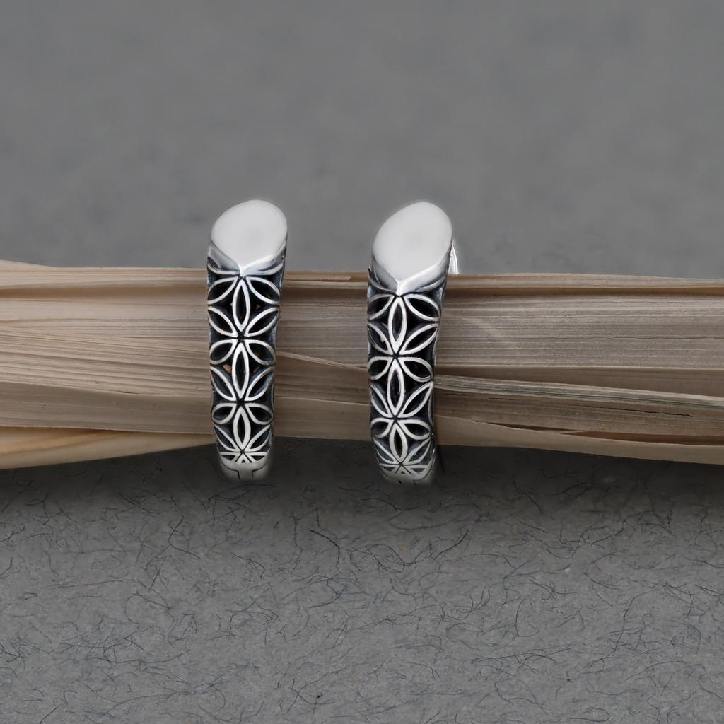 Серьги  "Просветление"