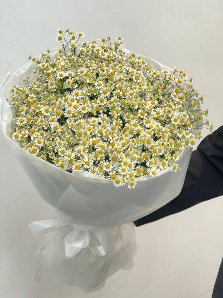 монобукет танацентума