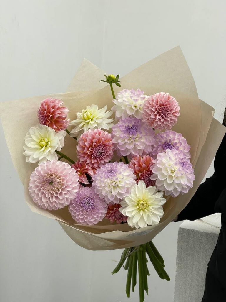 Микс георгин