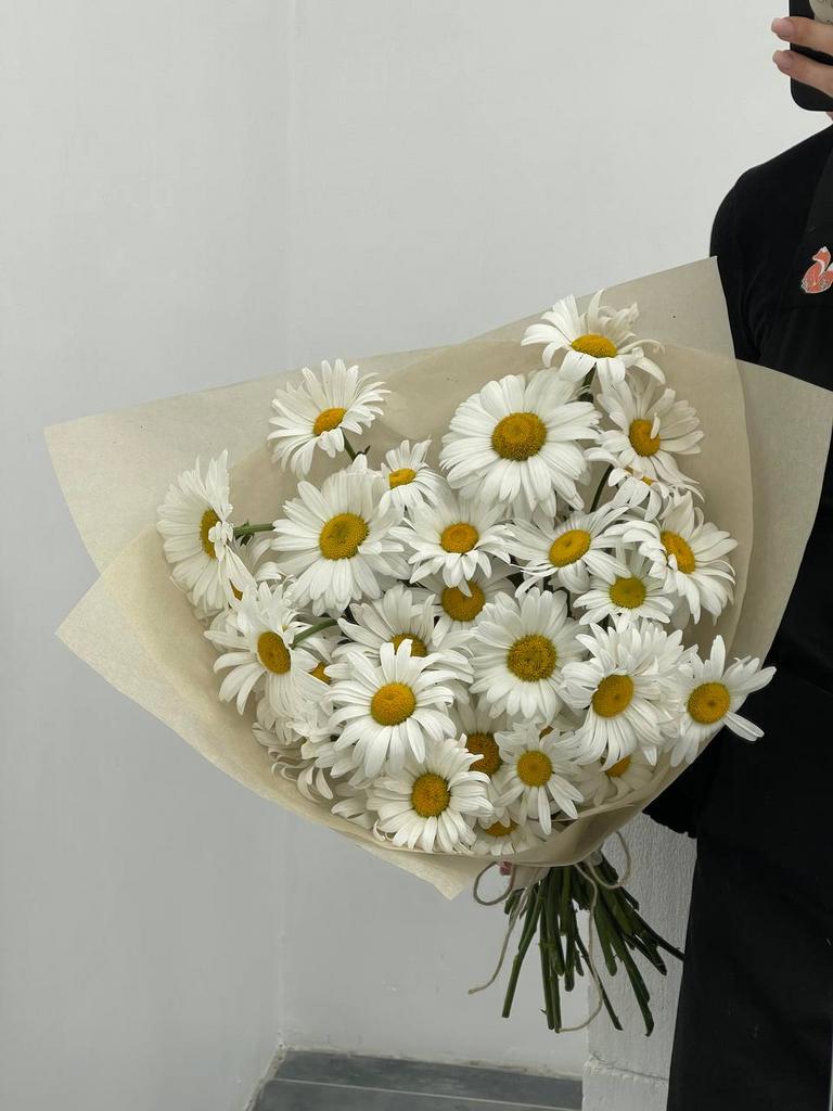 монобукет из 31 ромашки