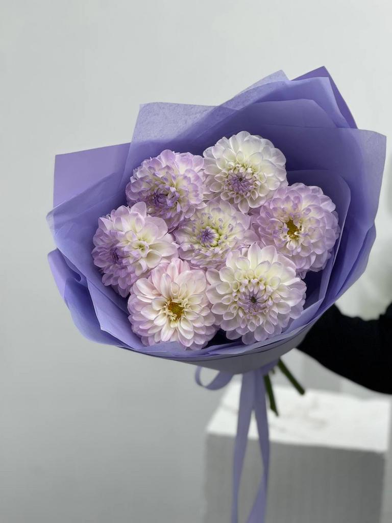 Монобукет из георгин Evelin 7 шт