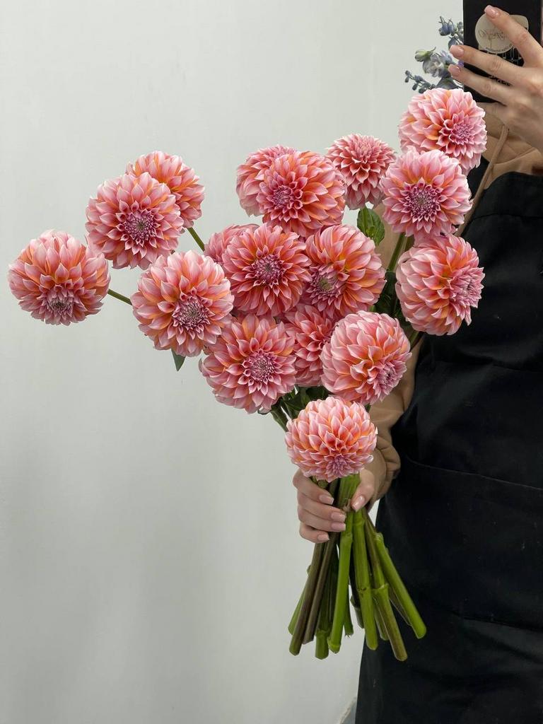 Охапка георгин 17 шт