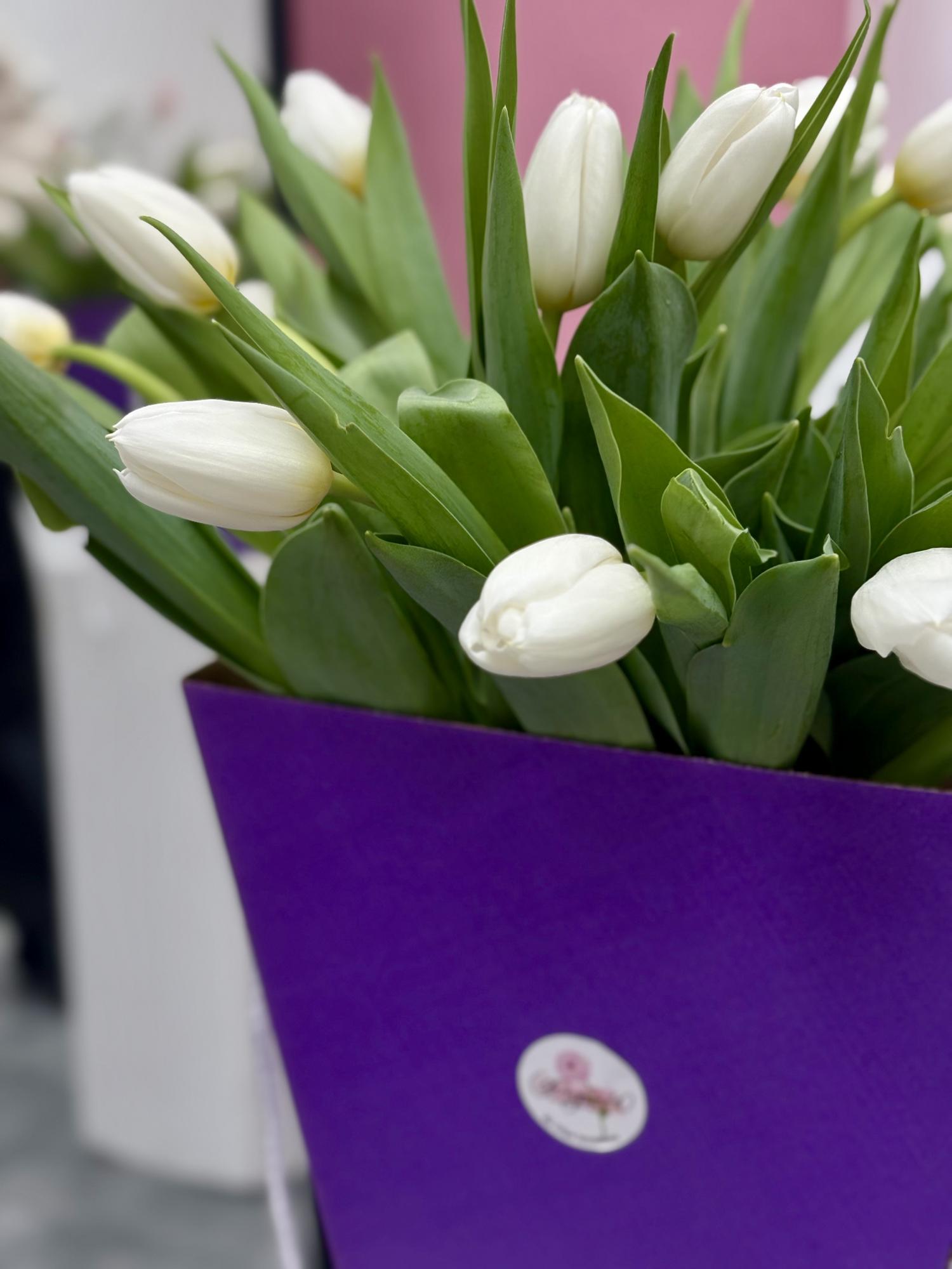 Тюльпаны 25 шт.