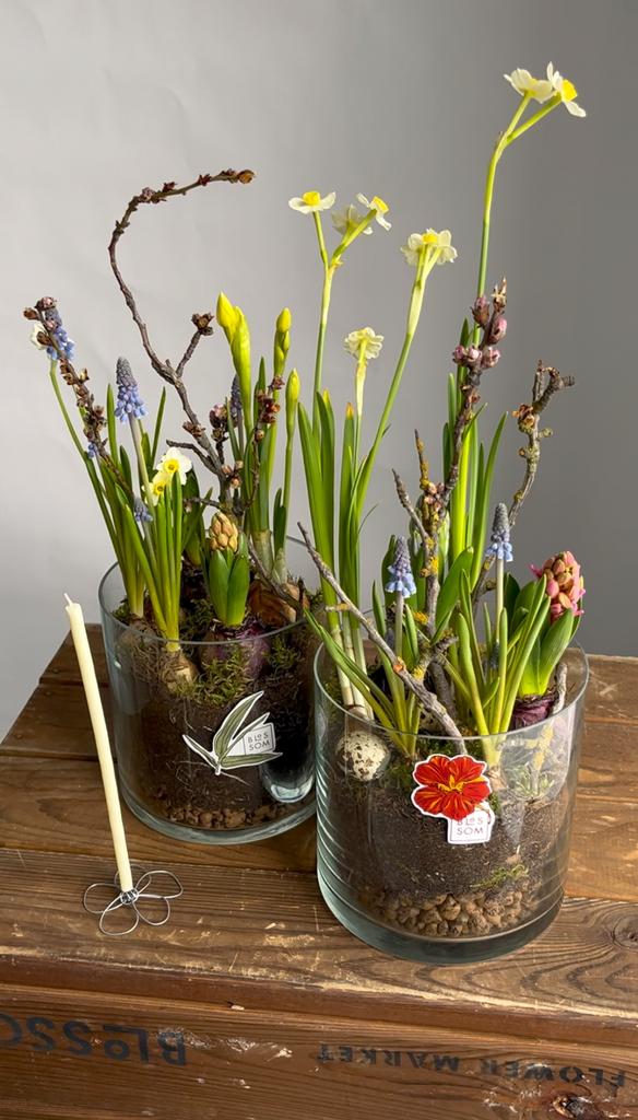 Ваза с луковичными цветами