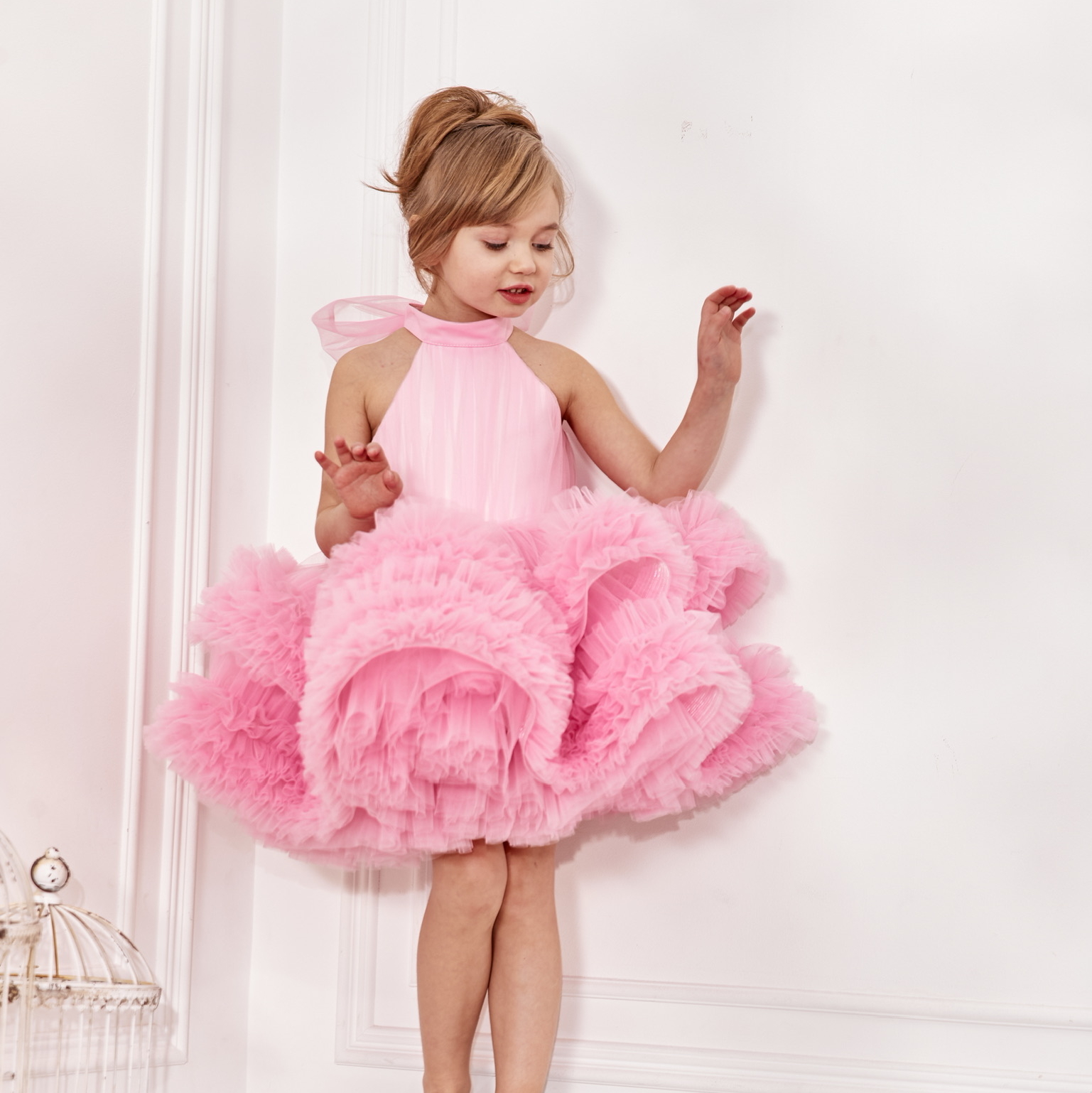 Aster Pink