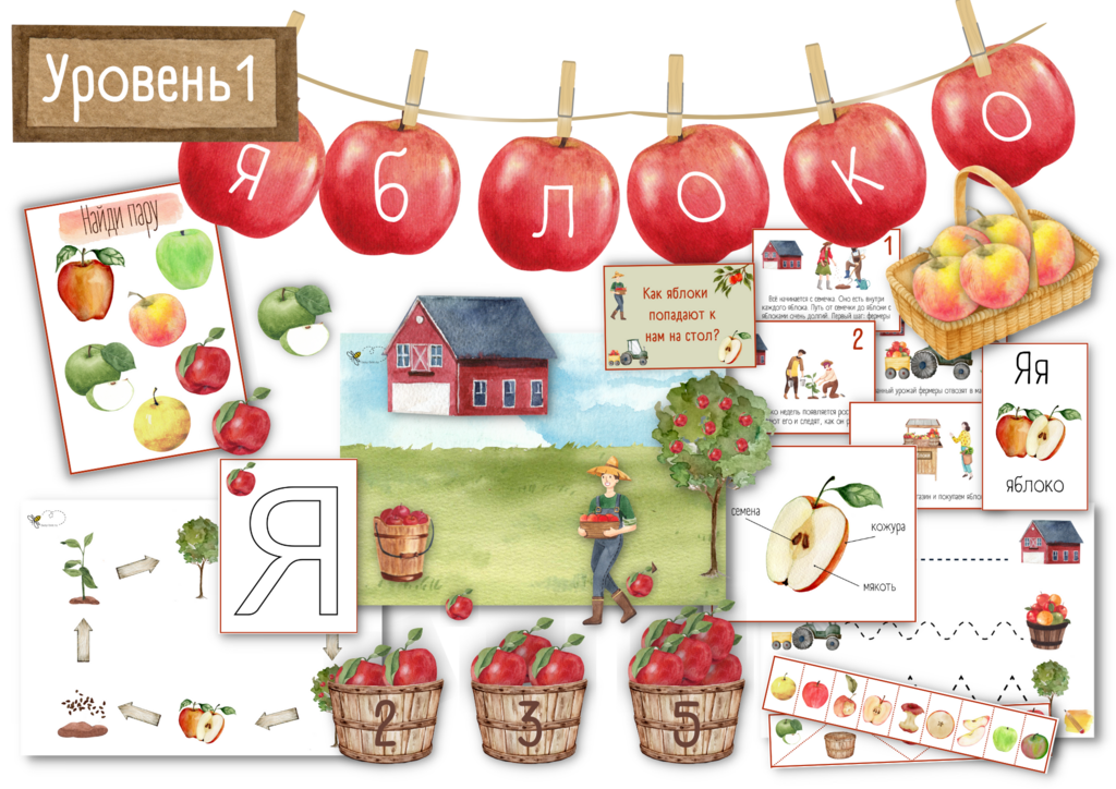 ПРОЕКТ "ЯБЛОКО" УРОВЕНЬ 1