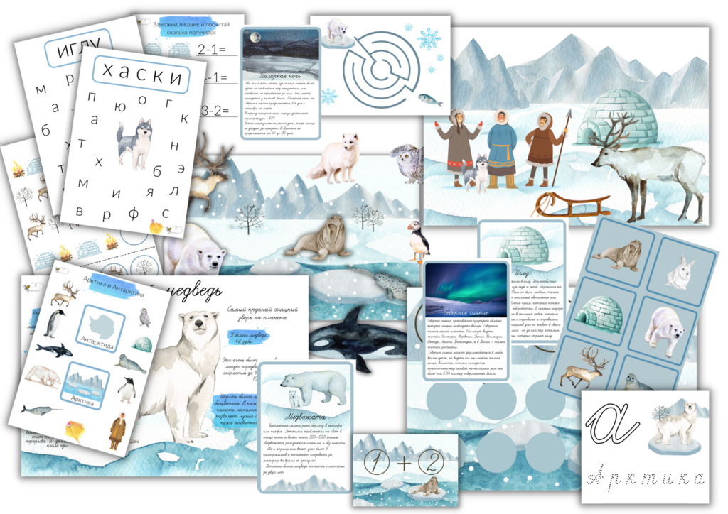 ПРОЕКТ "АРКТИКА"