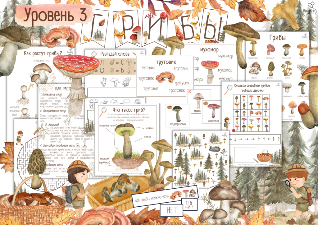 ПРОЕКТ  "ГРИБЫ" УРОВЕНЬ 3