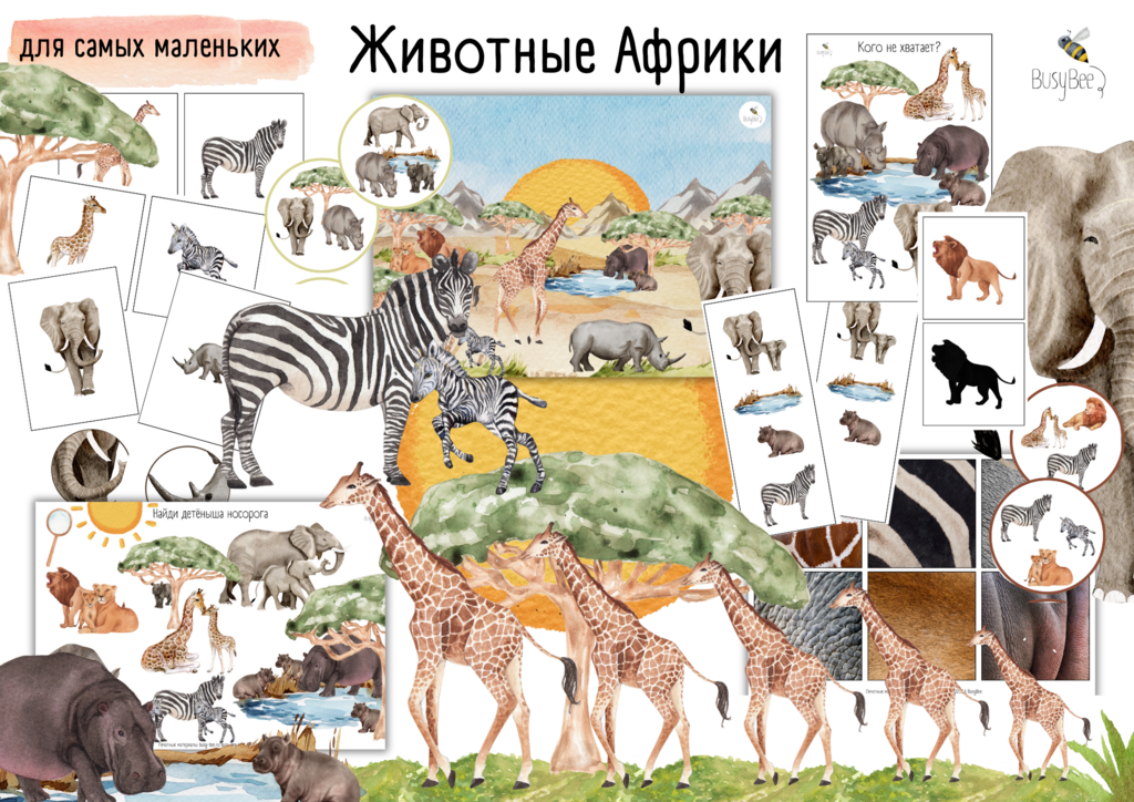 ПРОЕКТ  "ЖИВОТНЫЕ АФРИКИ"