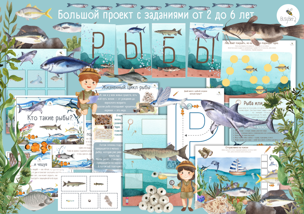 БОЛЬШОЙ ПРОЕКТ "РЫБЫ"