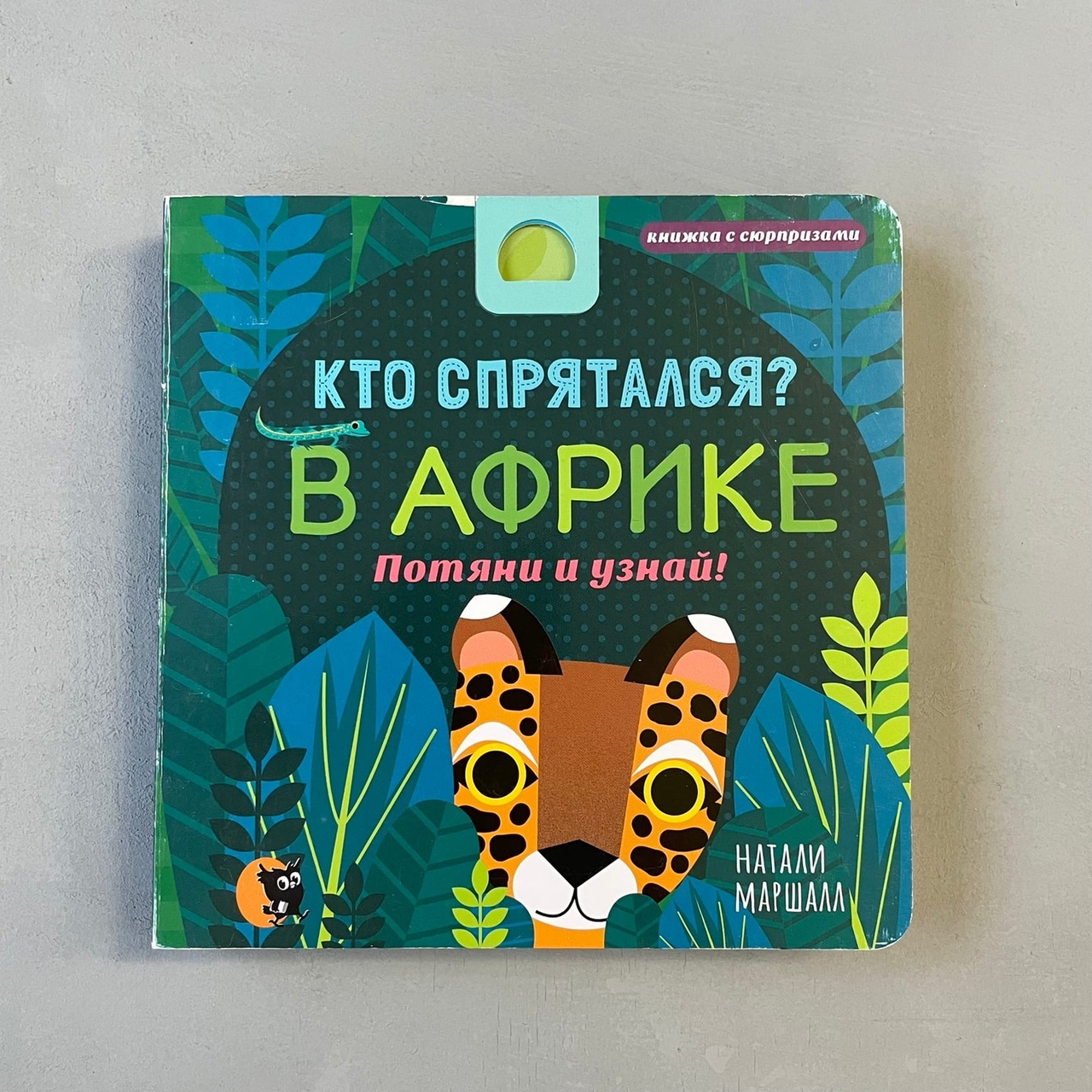Кто спрятался? В Африке