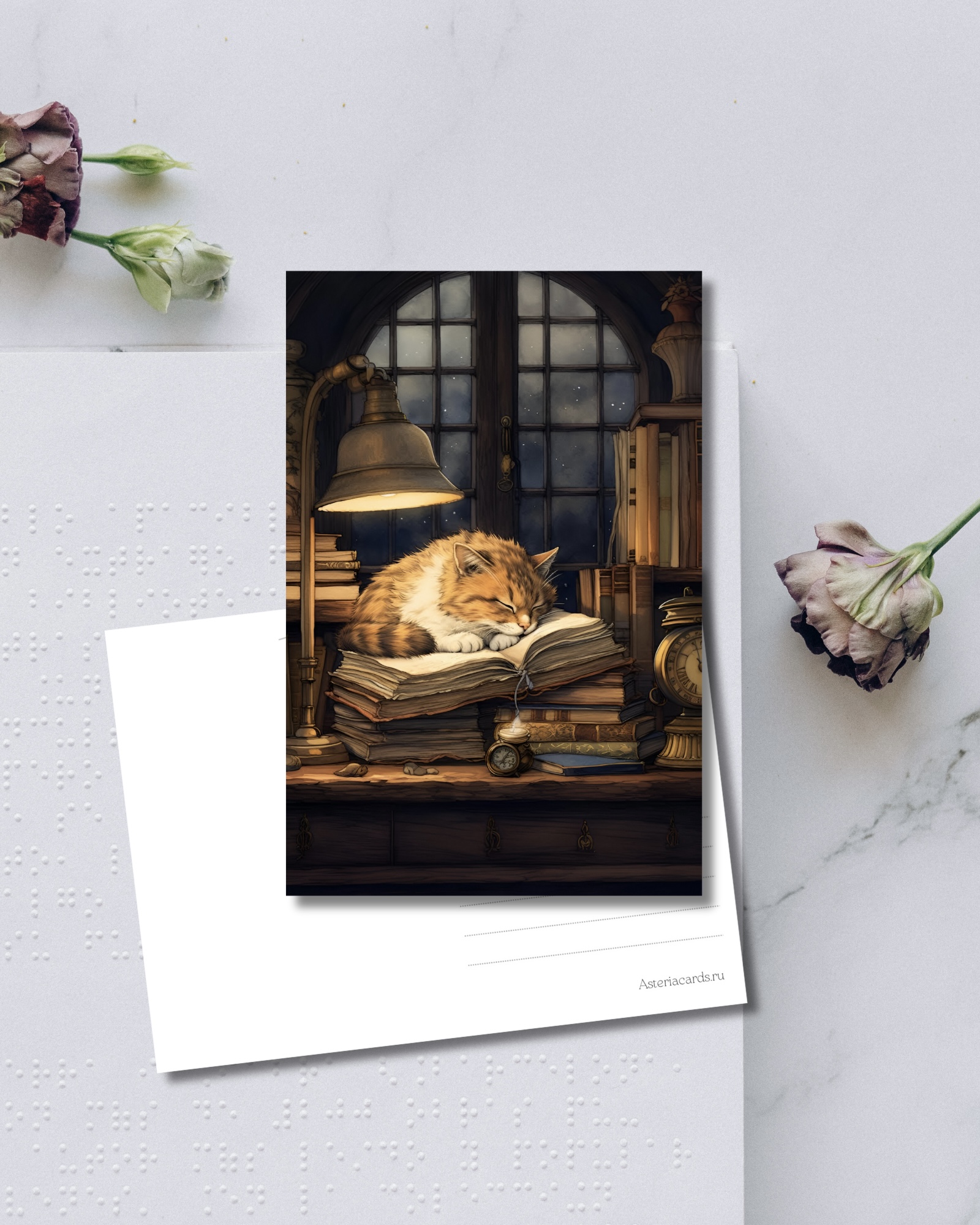 «Котик на книгах»