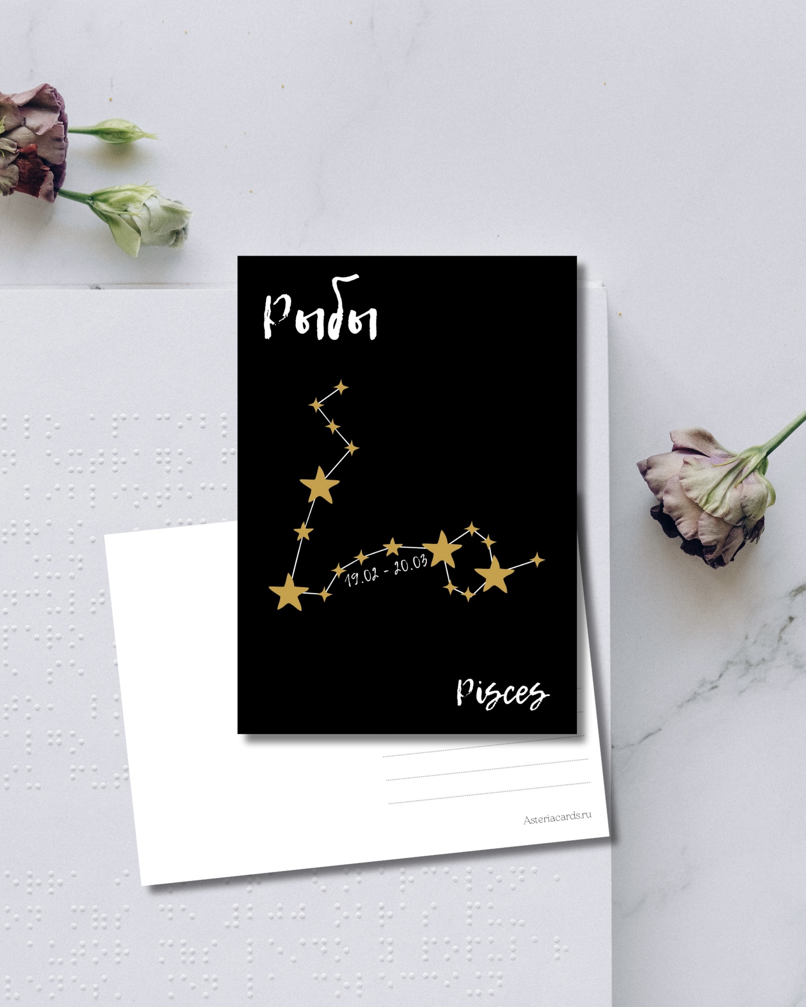«Рыбы»