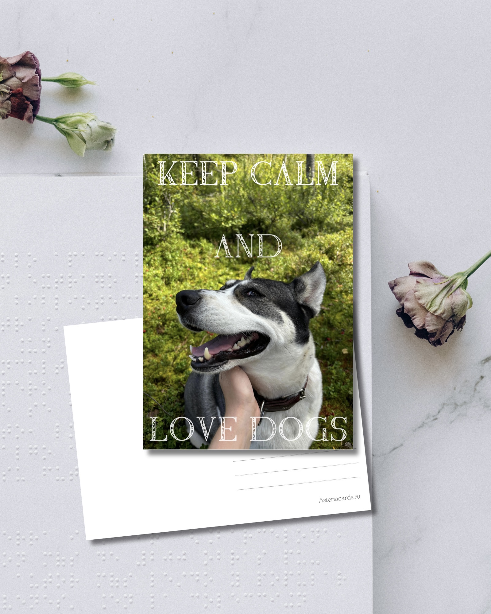 «Keep calm and love dogs»