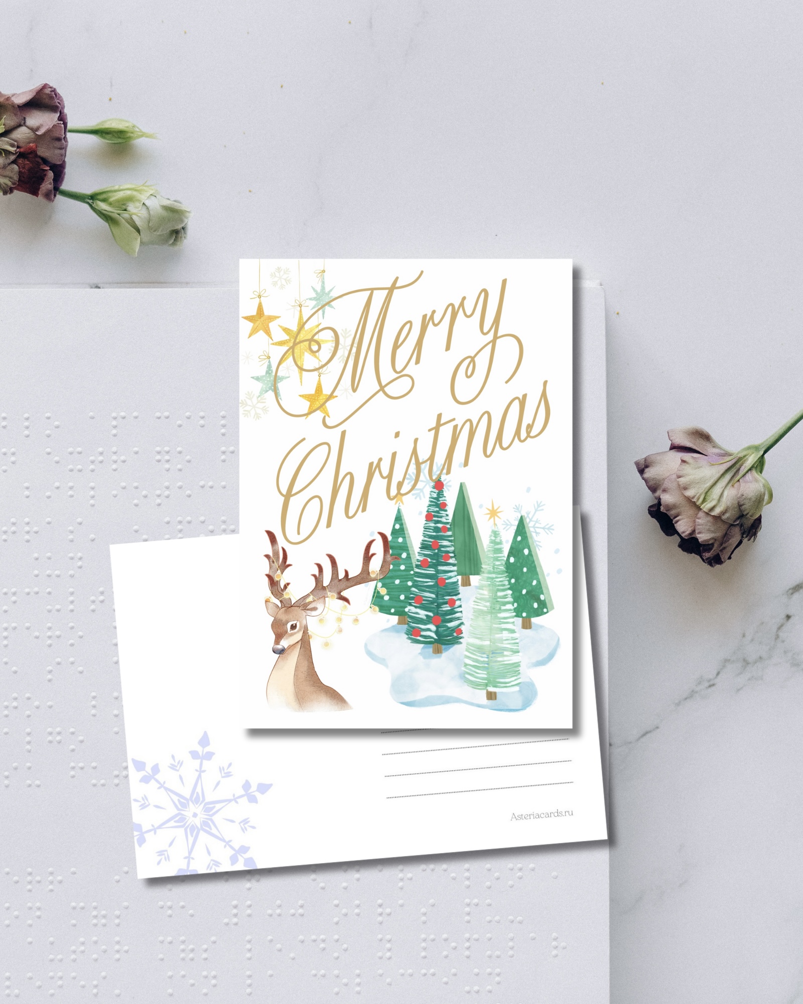 «Merry Christmas»