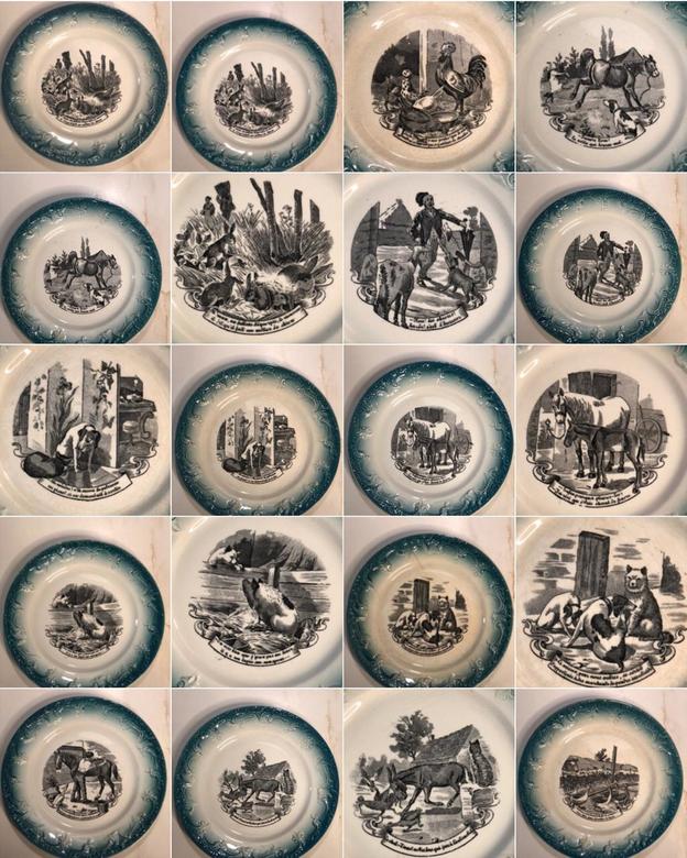 Набор из 12 тарелок, керамика, 20,5 см, ARBALÈTE PEXONNE, Франция