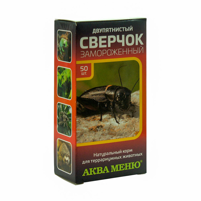 Сверчок двупятнистый замороженный, 50 штук