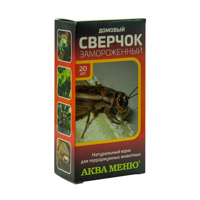Сверчок домовый замороженный, 20 штук