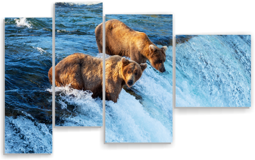 Два медведя