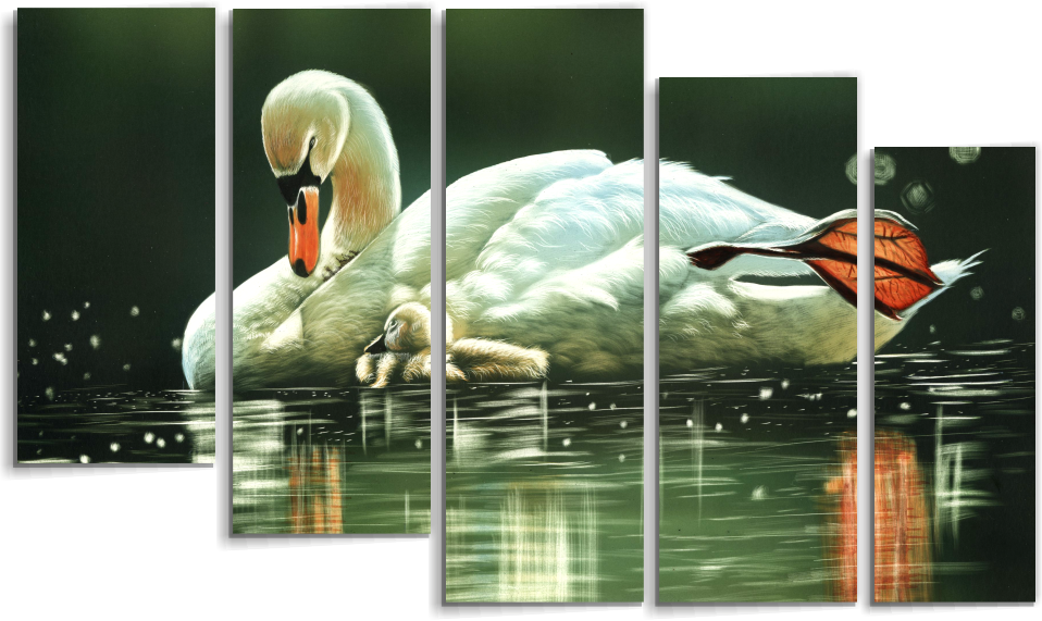 Лебедь на пруду М27