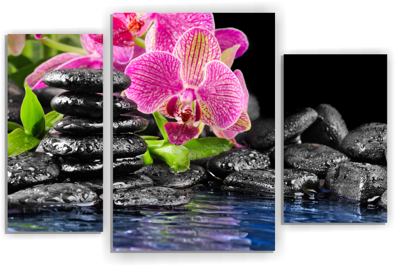 Орхидея М168