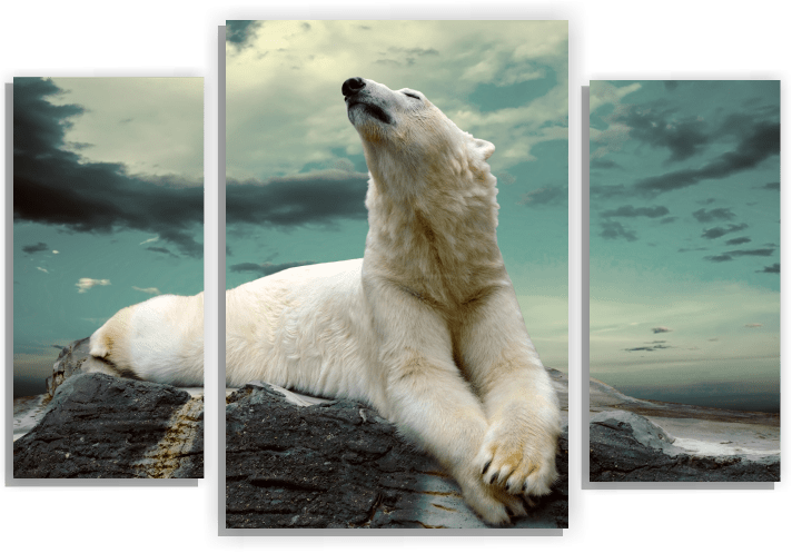 Медведь М192