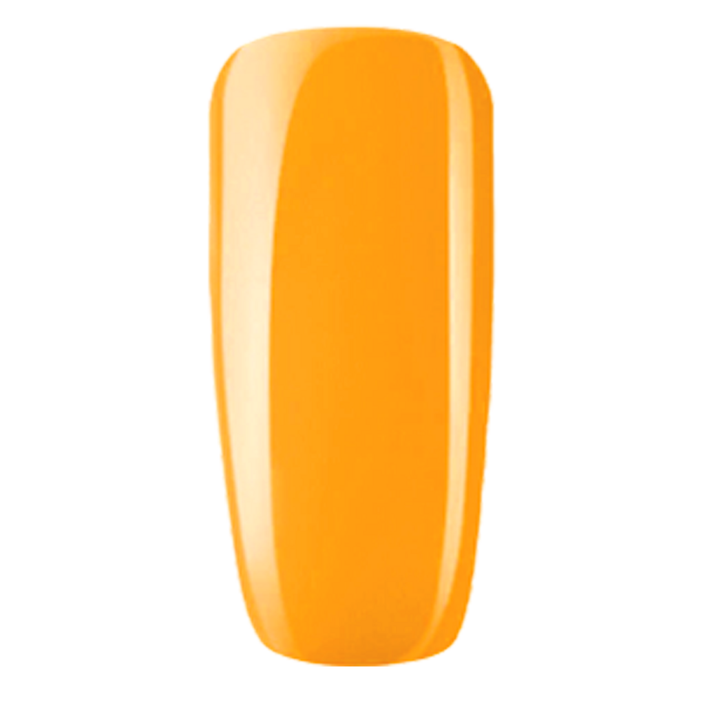 252 CABANA