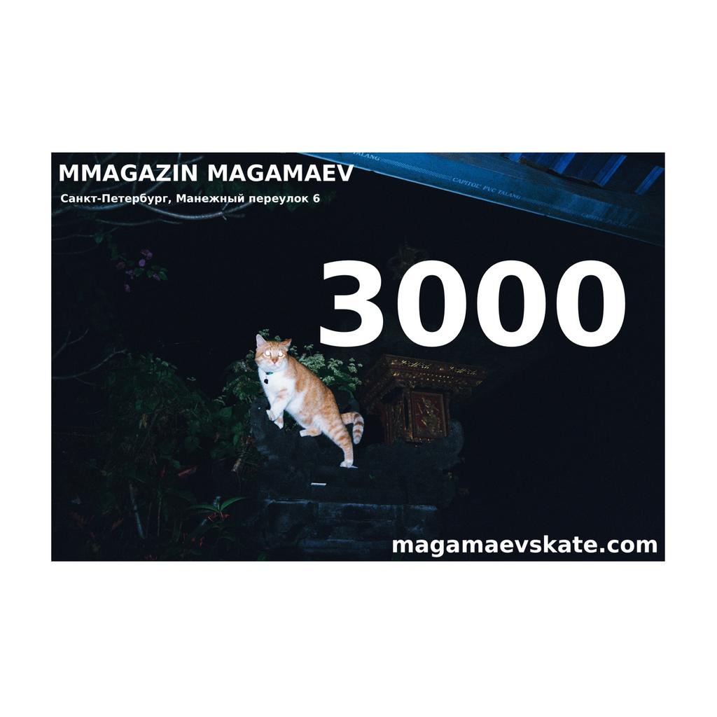 GIFT CARD 3000