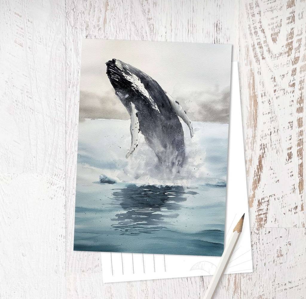 «Whale jump»