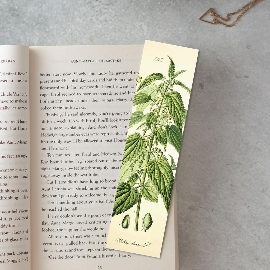 Книжная закладка «Крапива двудомная»