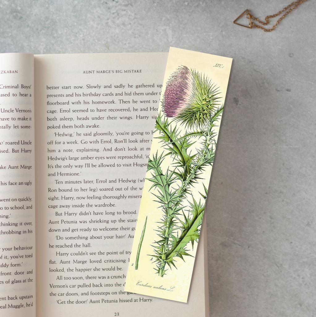 Книжная закладка «Чертополох поникающий»