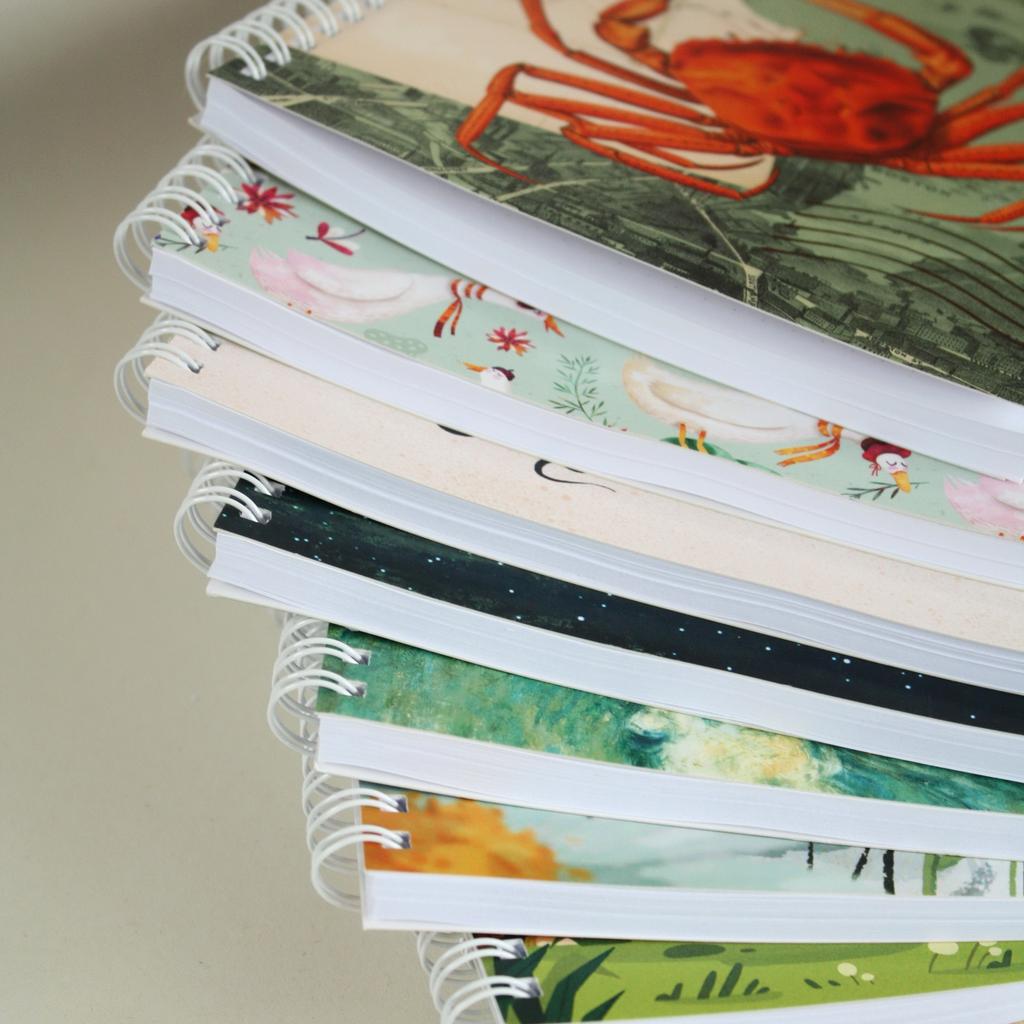 Комплект блокнотов на пружине | 7 штук