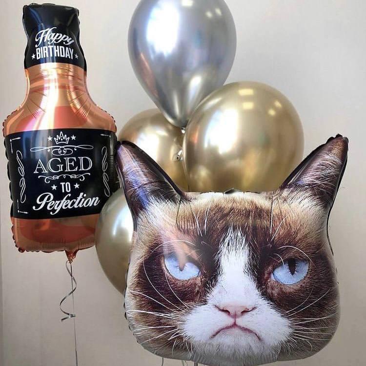 кот недовольный с виски