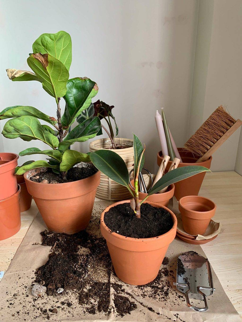 Цветочный горшок "Со следами соли"