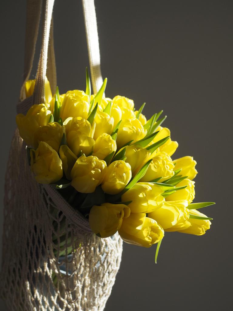 Тюльпан Marie Jo