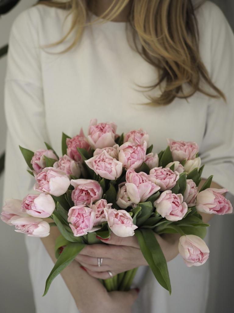 Тюльпан Dreamer