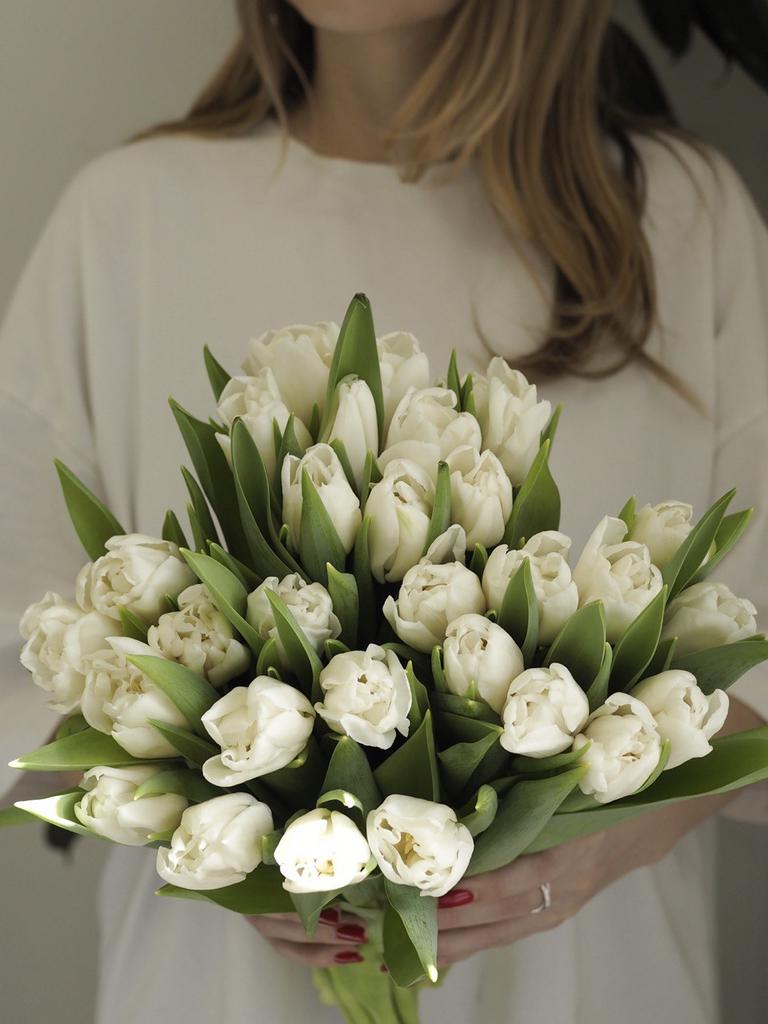 Тюльпан  Mondial